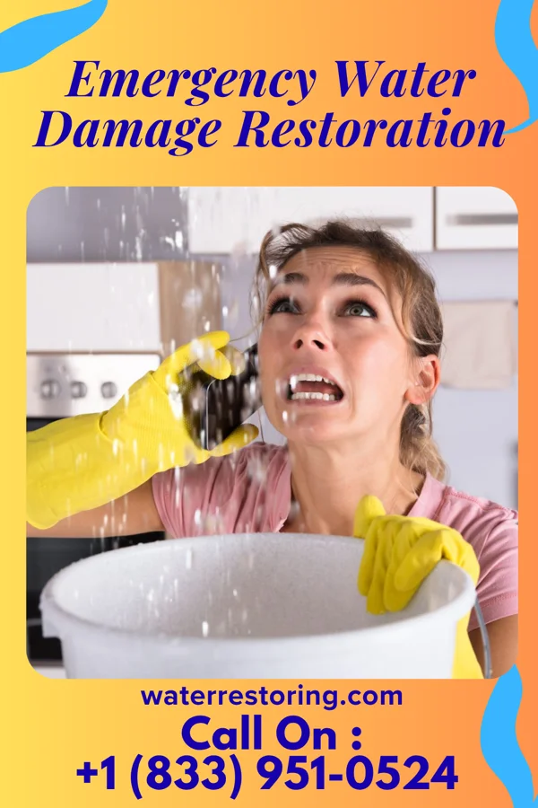 Emergency Water Damage Restoration in Doon, IA